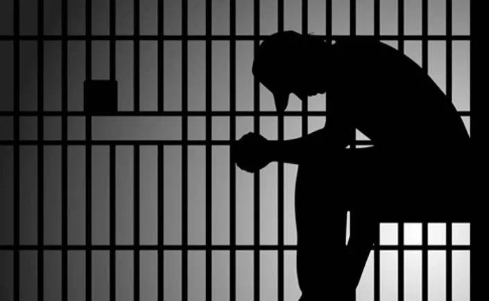 В российских тюрьмах отбывают наказание 1003 гражданина Кыргызстана